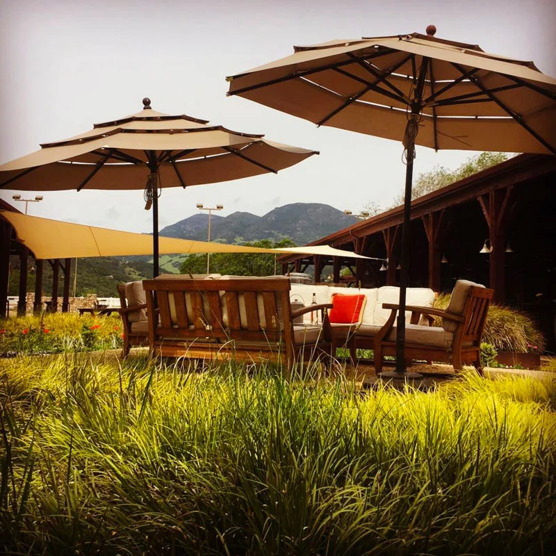 Tamber Bey Winery Vineyards Napa Picnic