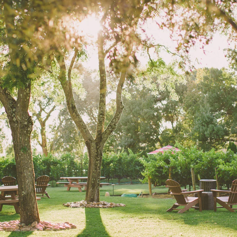 Aome Napa Cellars picnic area Napa