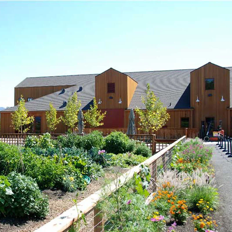 Cakebread Vineyards Napa
