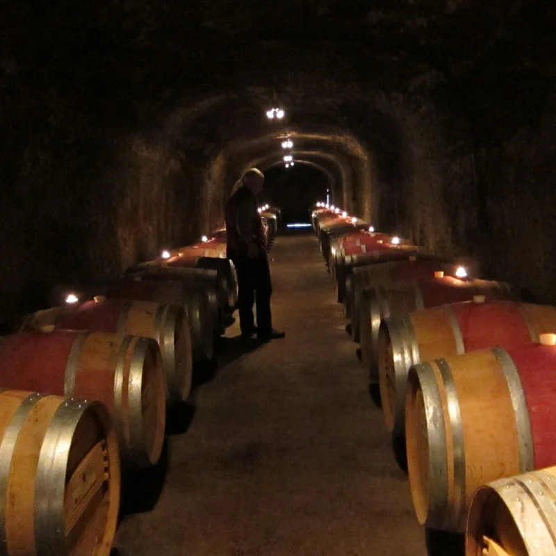 Del Dotto Wine Caves Napa Silverado Trail