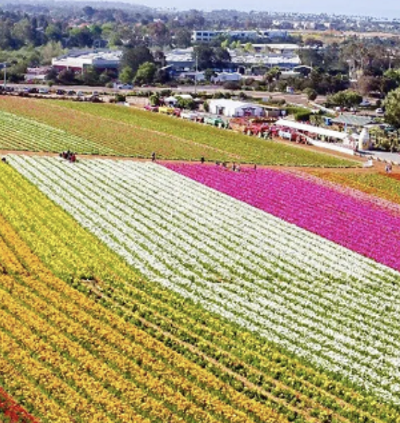 Screenshot 2026-02-23 at 10.37.35 AM.png