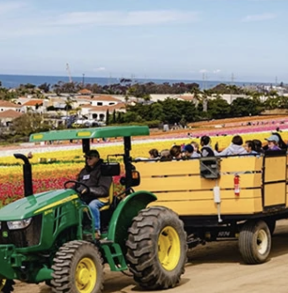 Screenshot 2026-02-23 at 10.37.49 AM.png