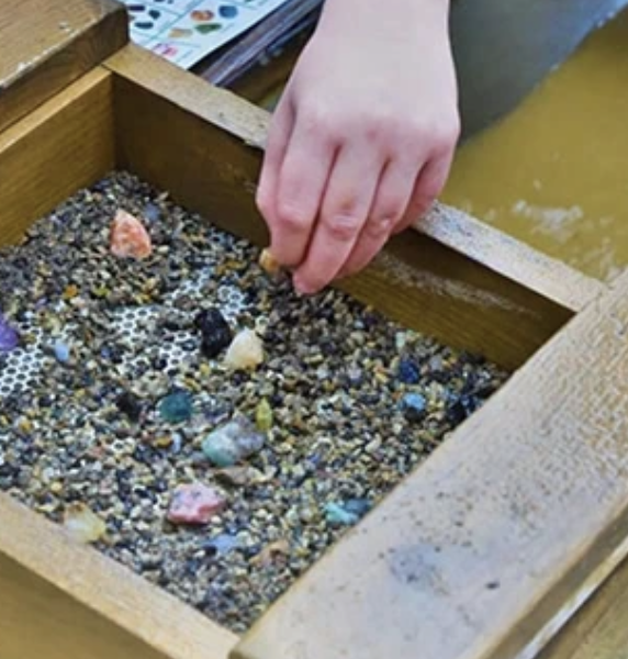 Screenshot 2026-02-23 at 10.38.05 AM.png