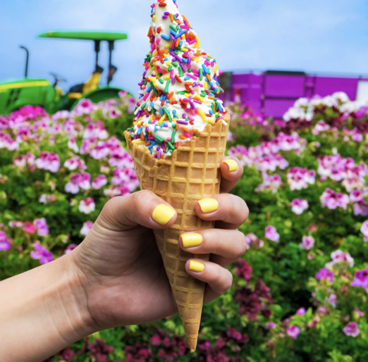 Screenshot 2026-02-23 at 11.14.56 AM.png