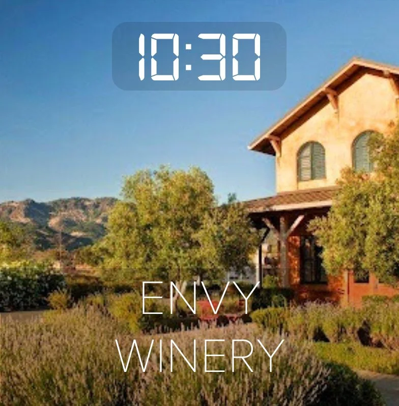 envy winery 101 box.jpg