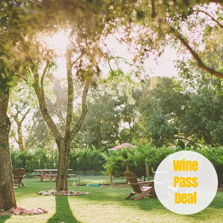 Best Napa Valley Wineries for First Timers ON A BUDGET! — Napa