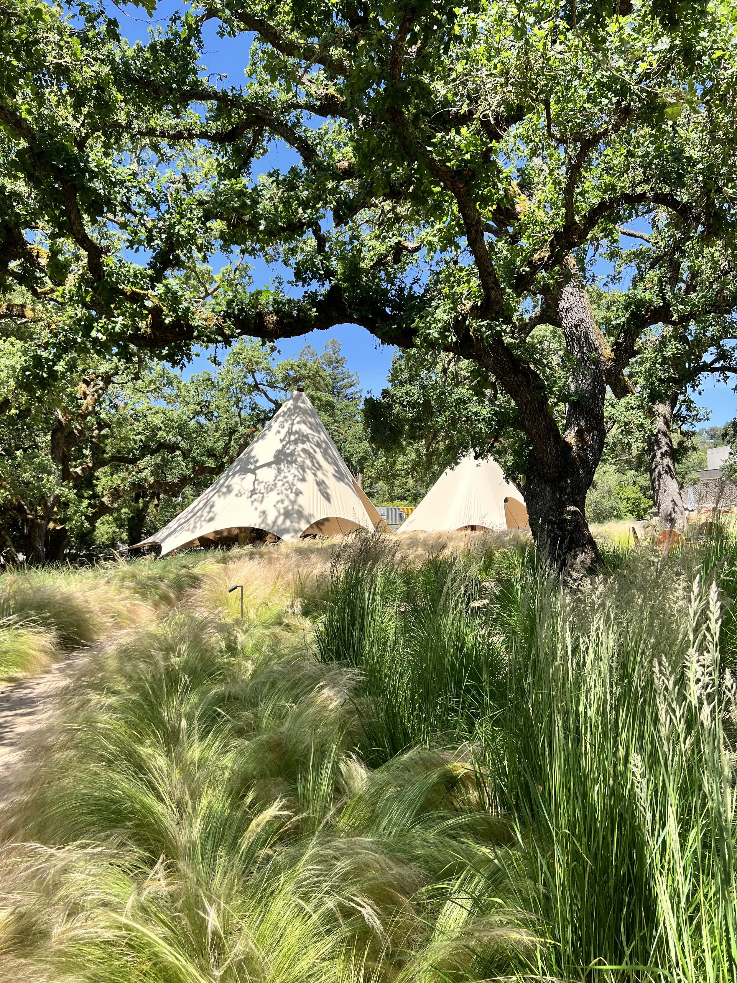 Glamping tents at Chandon in Napa