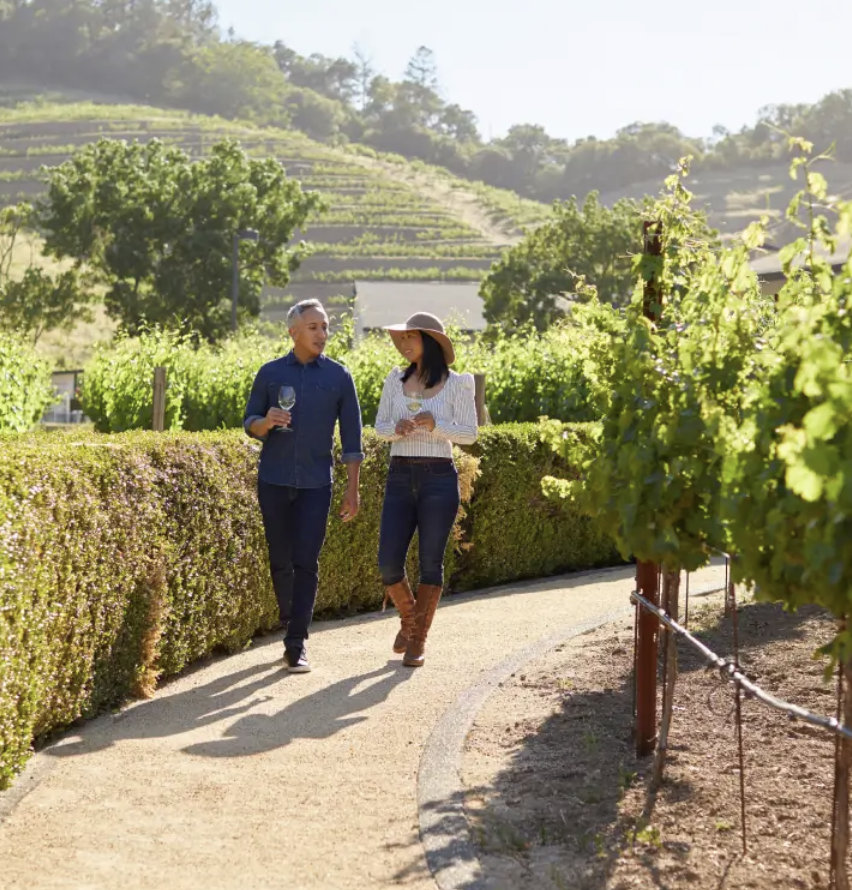 Walking around Pine Ridge Vineyards