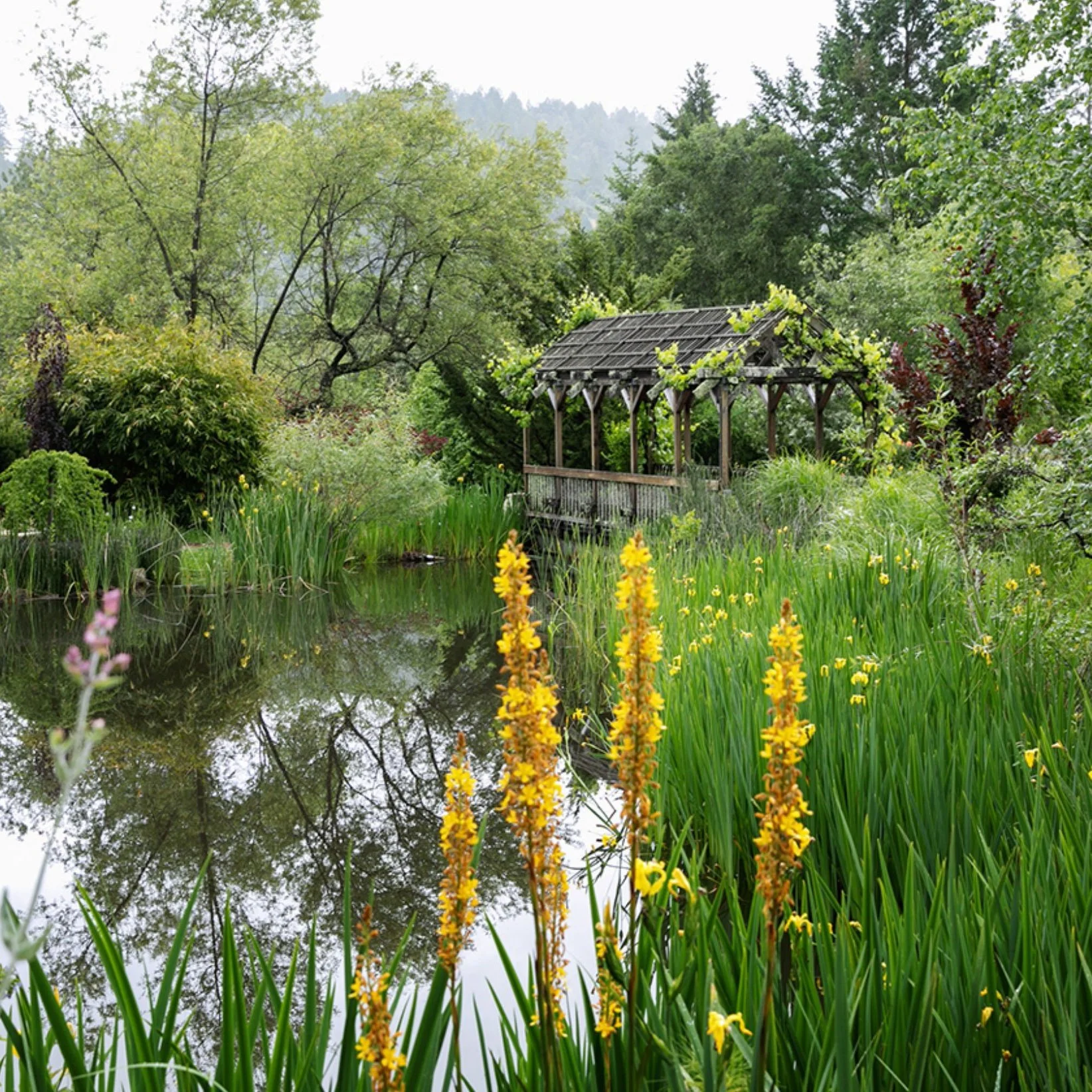 Hans Fahden Winery