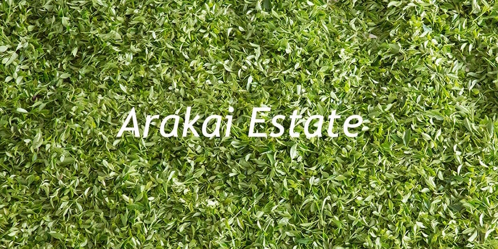 _arakai-image15 copy.jpg