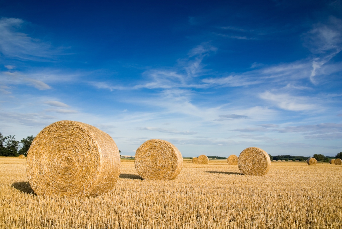 NSW Farmers’ Drought Network