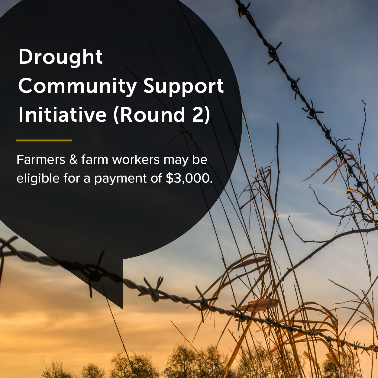 Drought Community Support Initiative