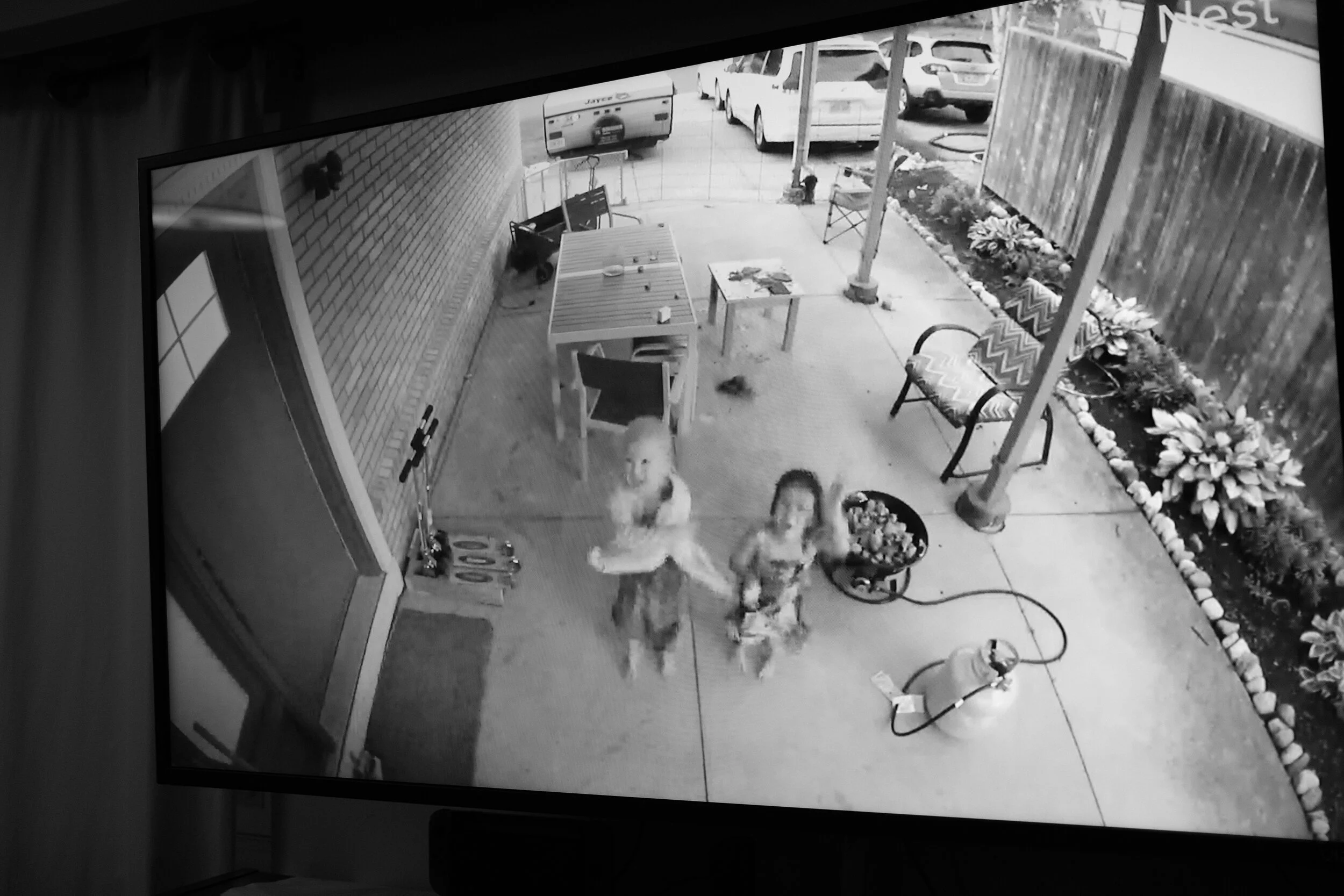 DSCF6833.JPG