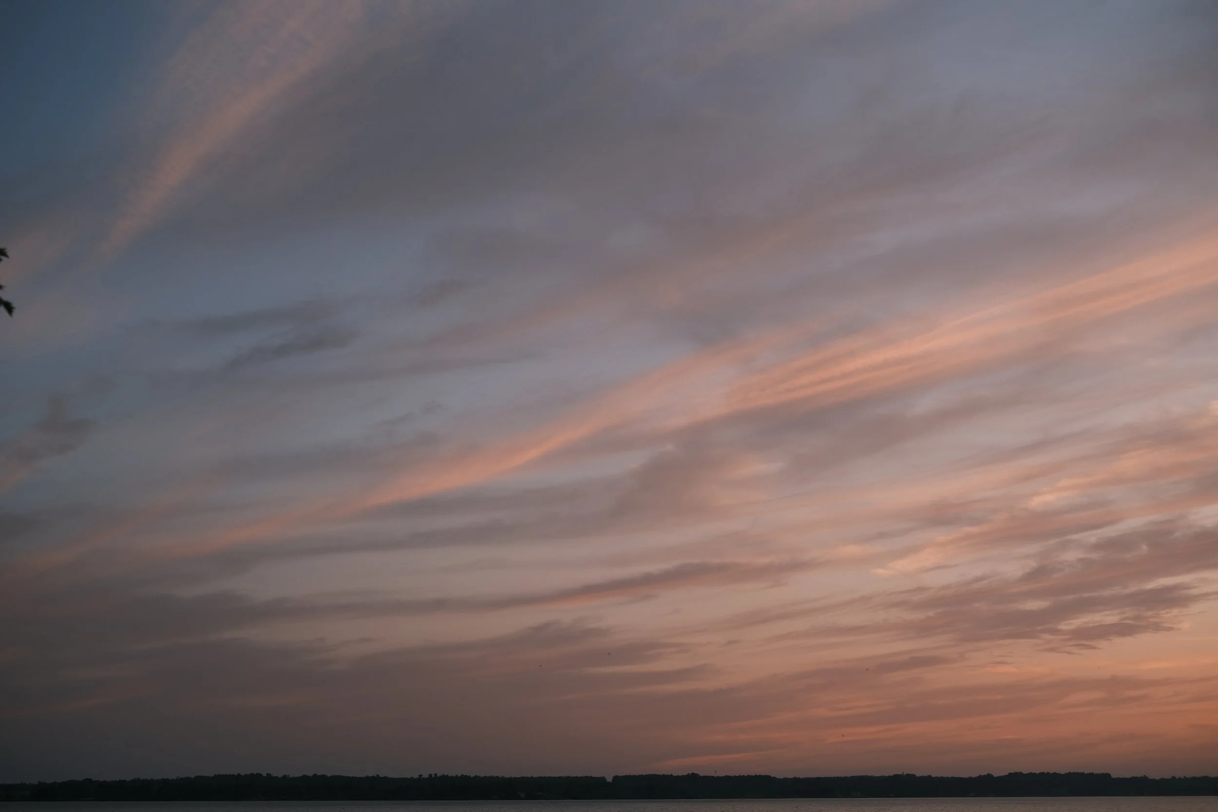 DSCF0392.JPG