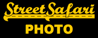 street safari logo.png