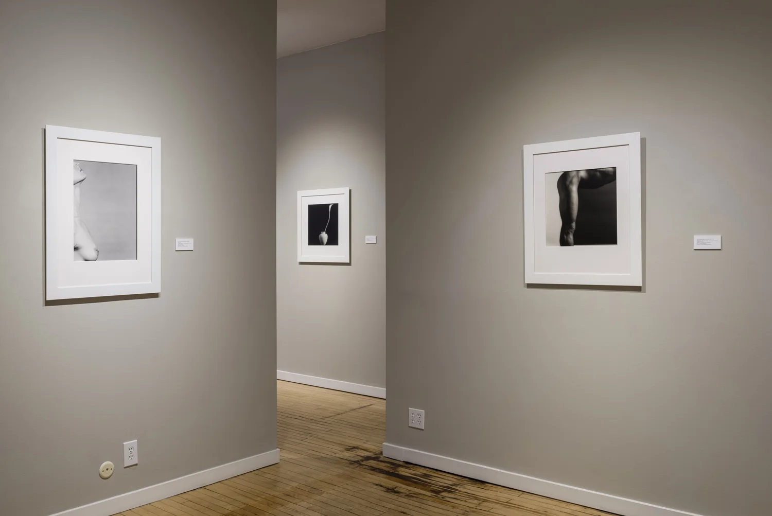 WeinsteinHammons_20180215Mapplethorpe_001.jpg