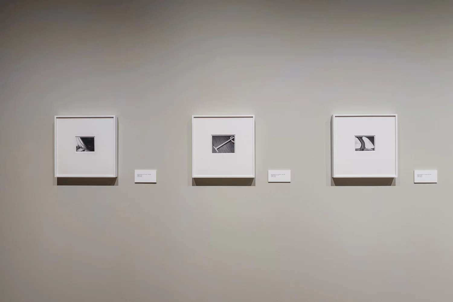 WeinsteinHammons_20180215Mapplethorpe_003.jpg