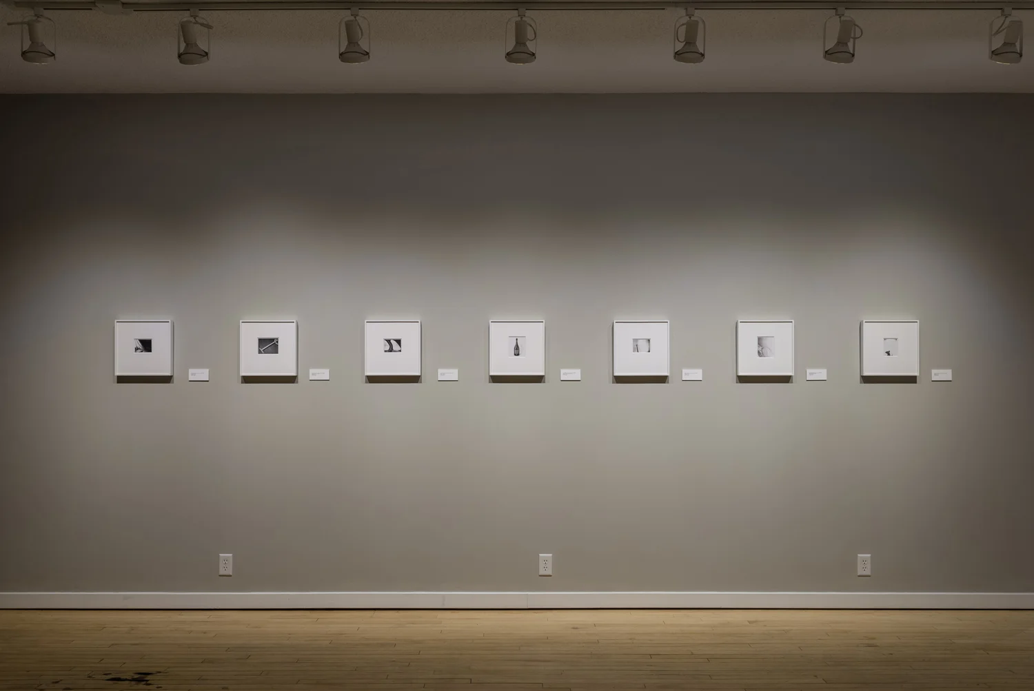 WeinsteinHammons_20180215Mapplethorpe_005.jpg