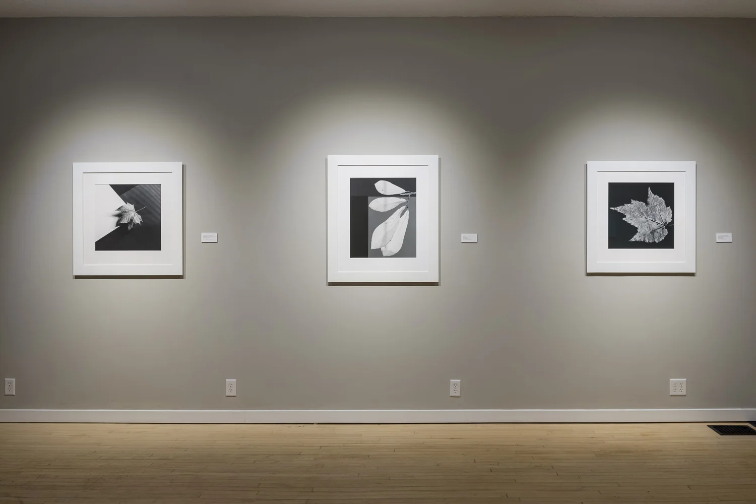 WeinsteinHammons_20180215Mapplethorpe_007.jpg