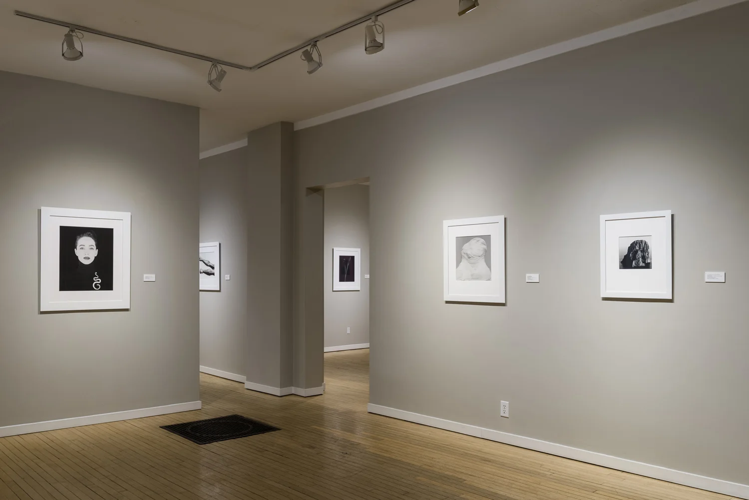WeinsteinHammons_20180215Mapplethorpe_008.jpg