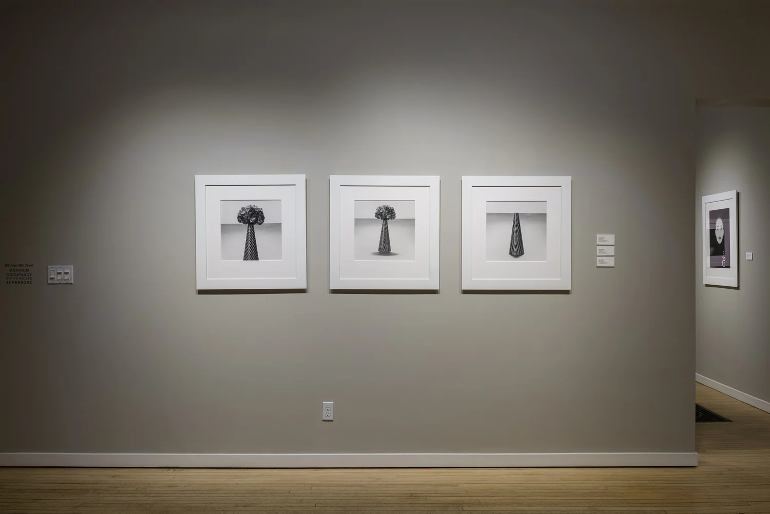 WeinsteinHammons_20180215Mapplethorpe_010.jpg
