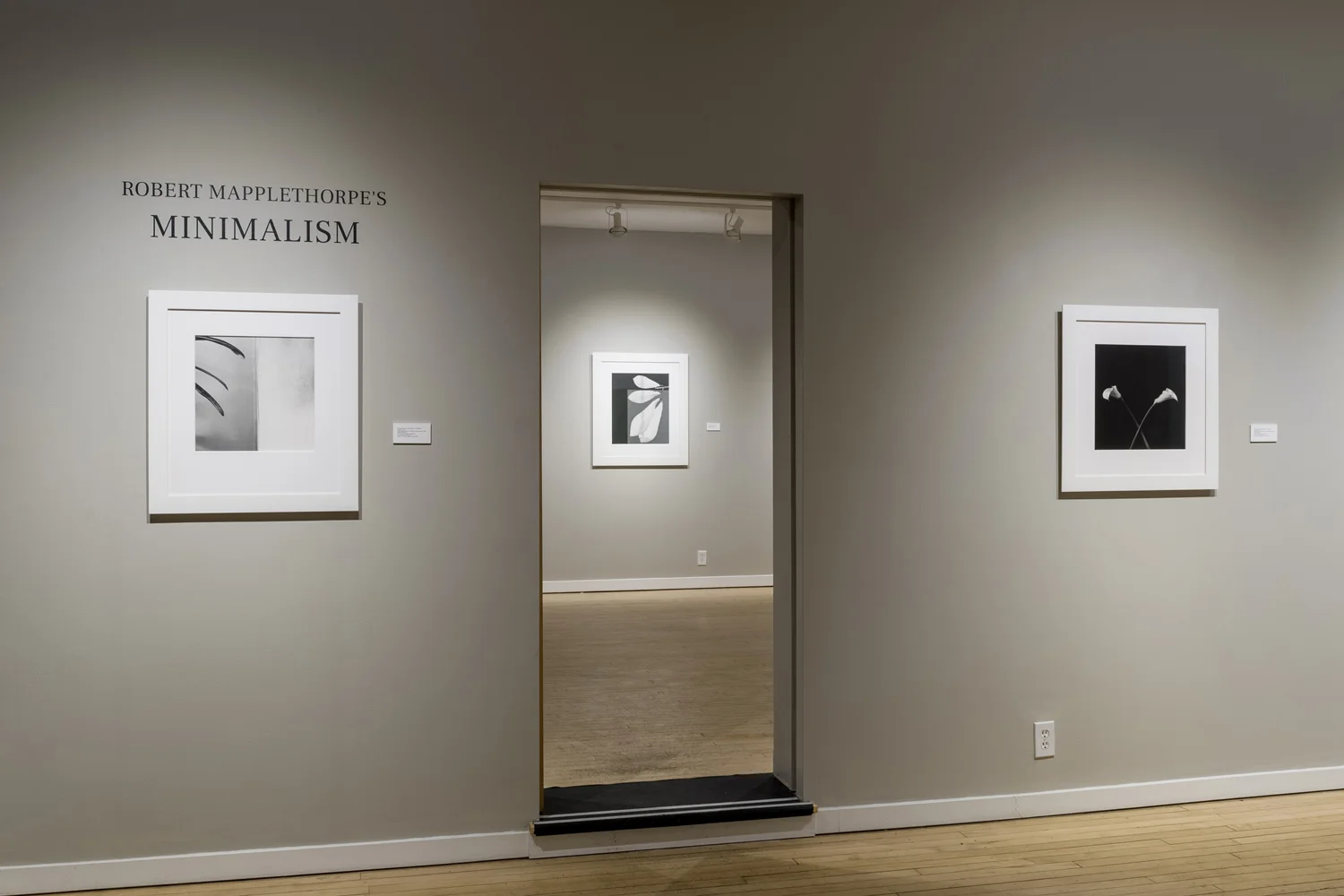 WeinsteinHammons_20180215Mapplethorpe_011.jpg