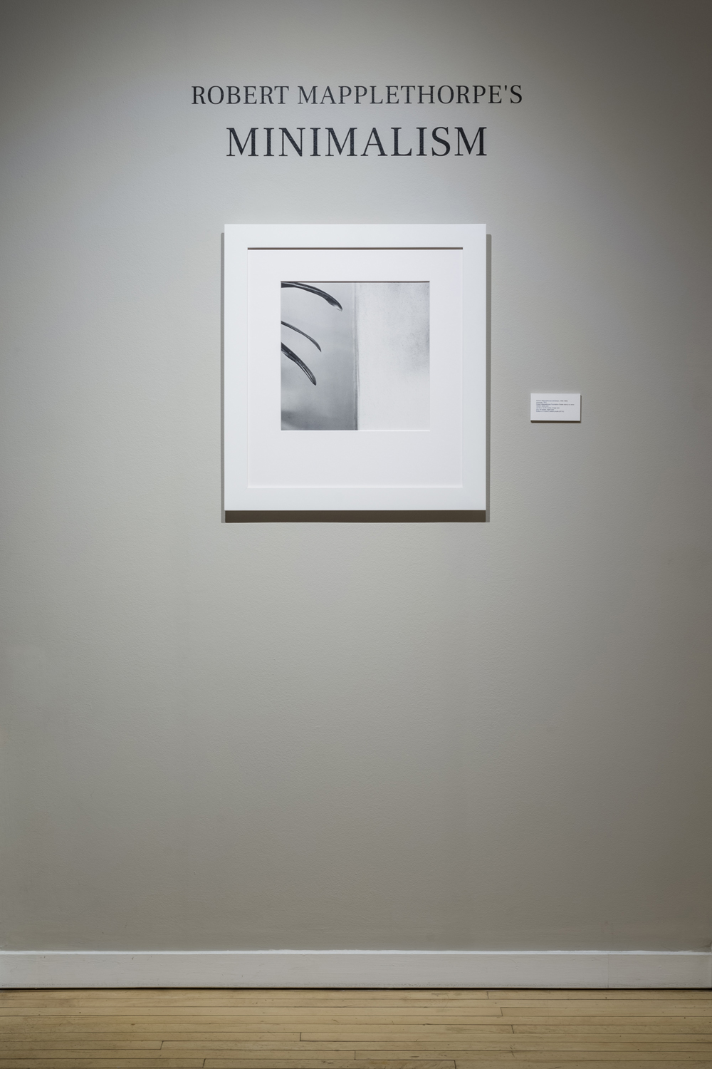 WeinsteinHammons_20180215Mapplethorpe_012.jpg