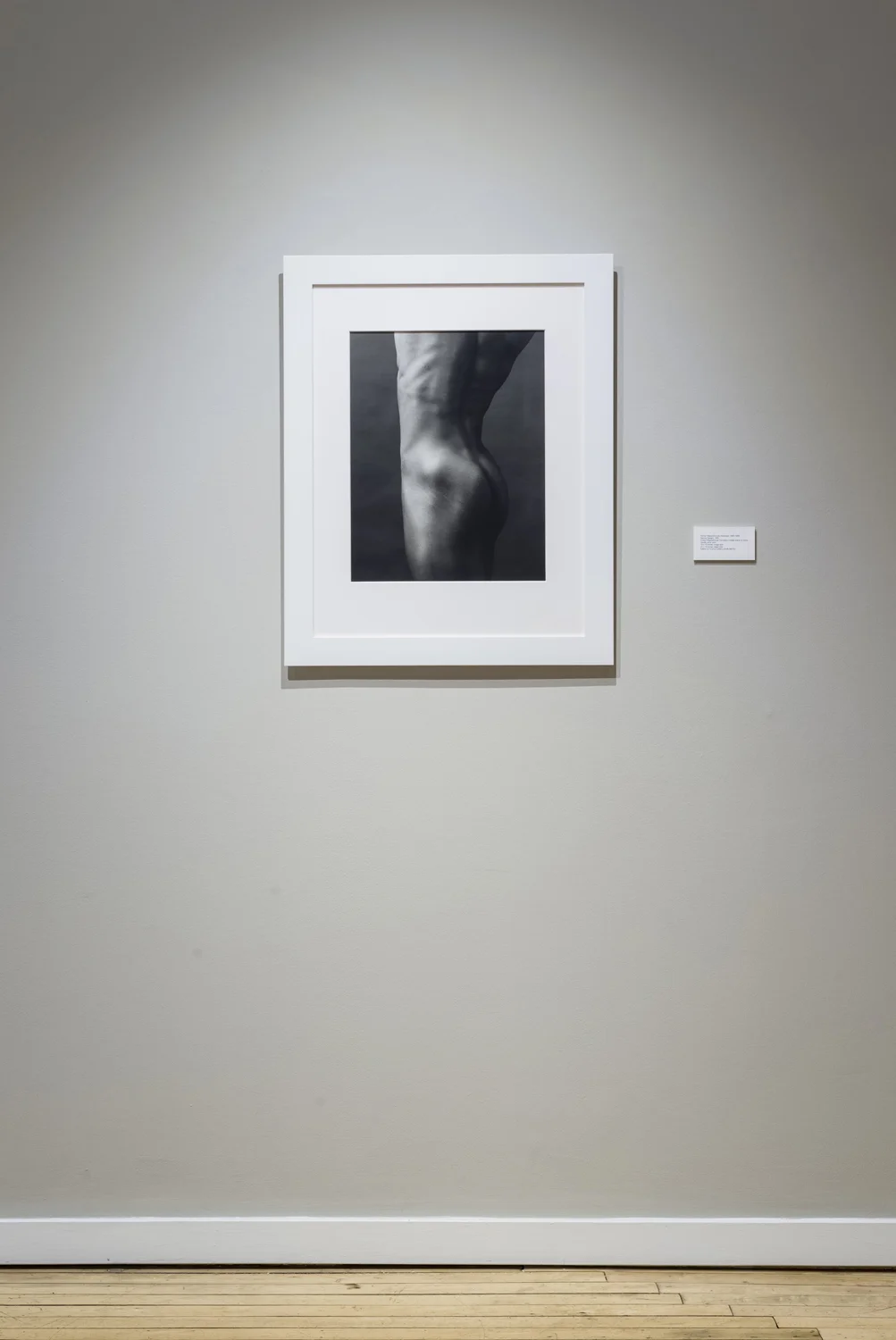 WeinsteinHammons_20180215Mapplethorpe_013.jpg