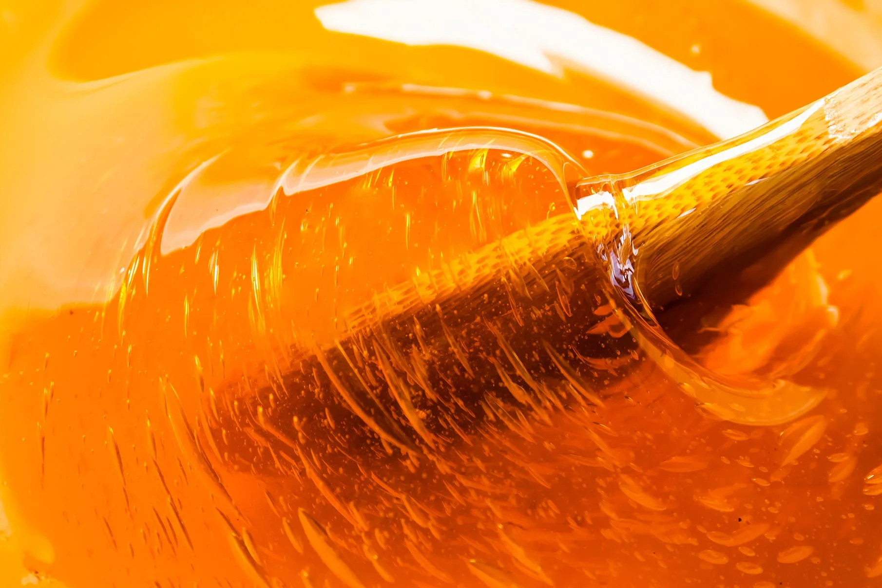 HoneySlider1.jpg