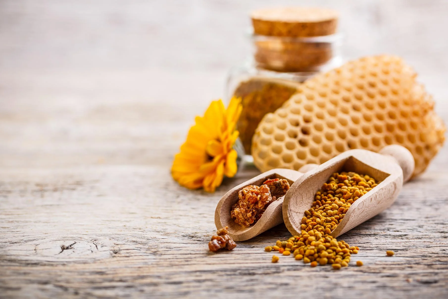 BeePollen1.jpg