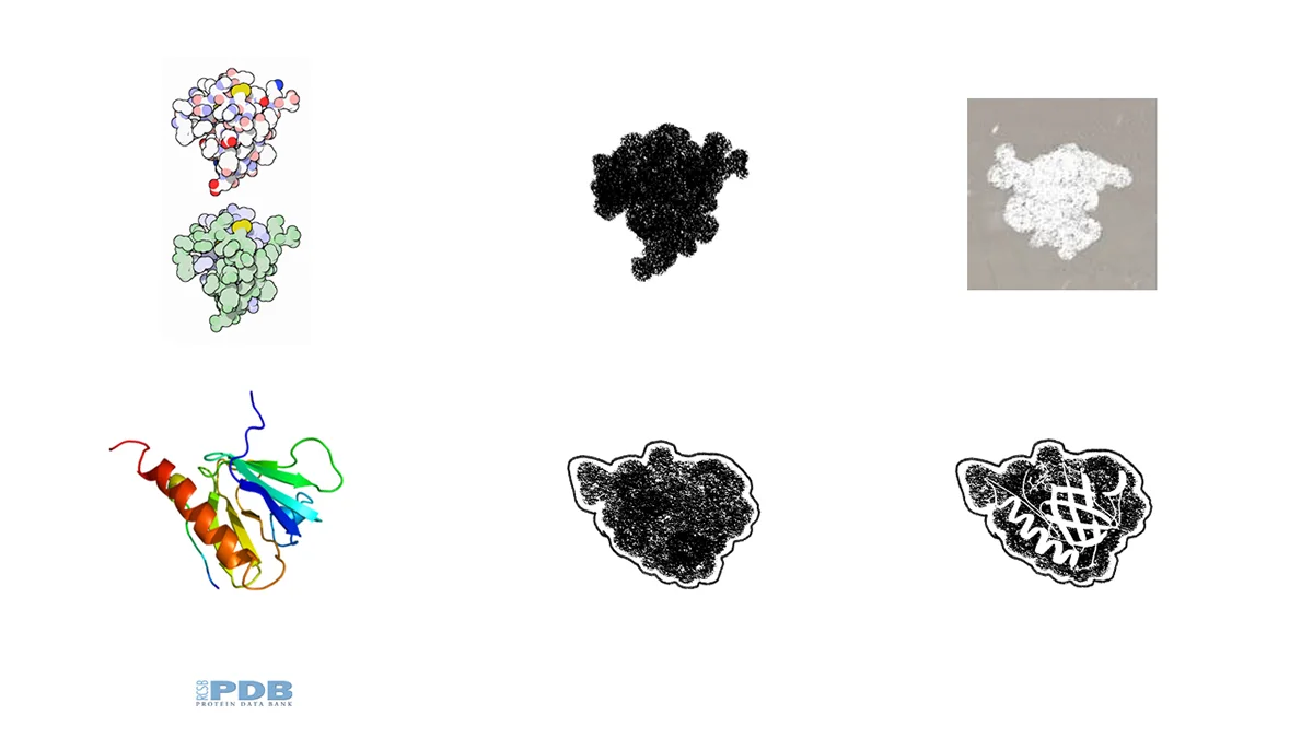 pdb2.jpg