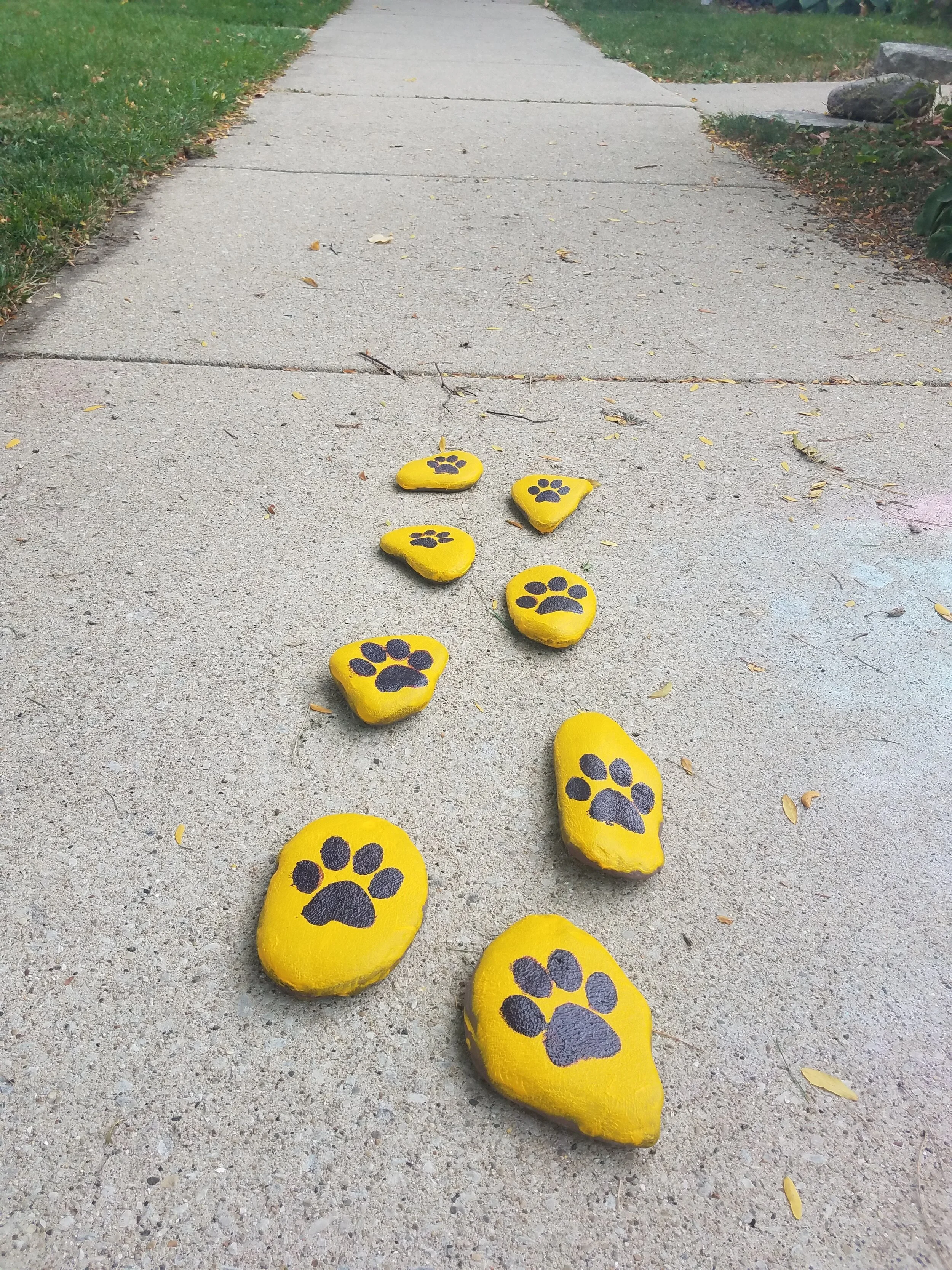 Schurz Schuffle Scavenger Hunt