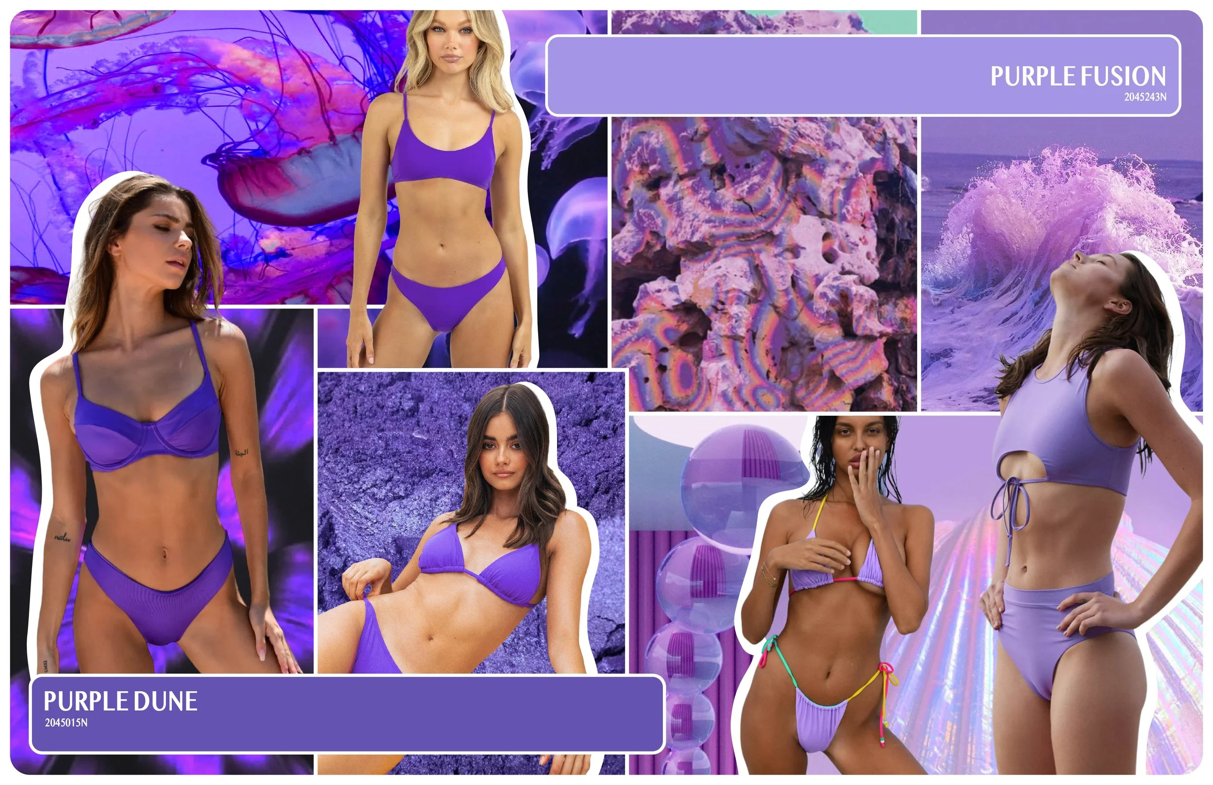 Purple Dune_Purple Fusion (1)-01.jpg