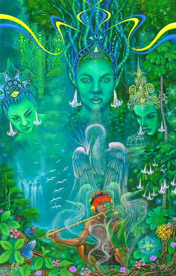 Why Marijuana and Ayahuasca Don’t Belong Together 