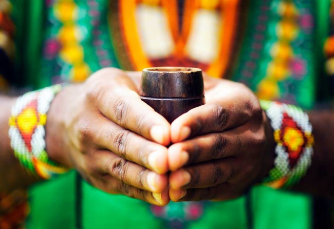 Preparation-for-Ayahuasca.jpg