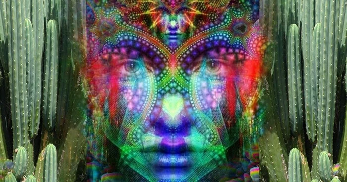 Master Plant Diets Explained. You’re Going to Want to Do This.