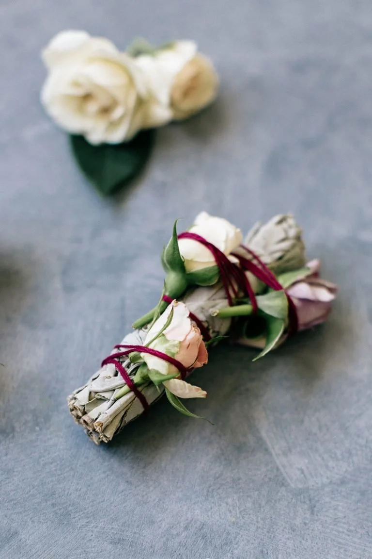 The Top 5 Master Plant Diets