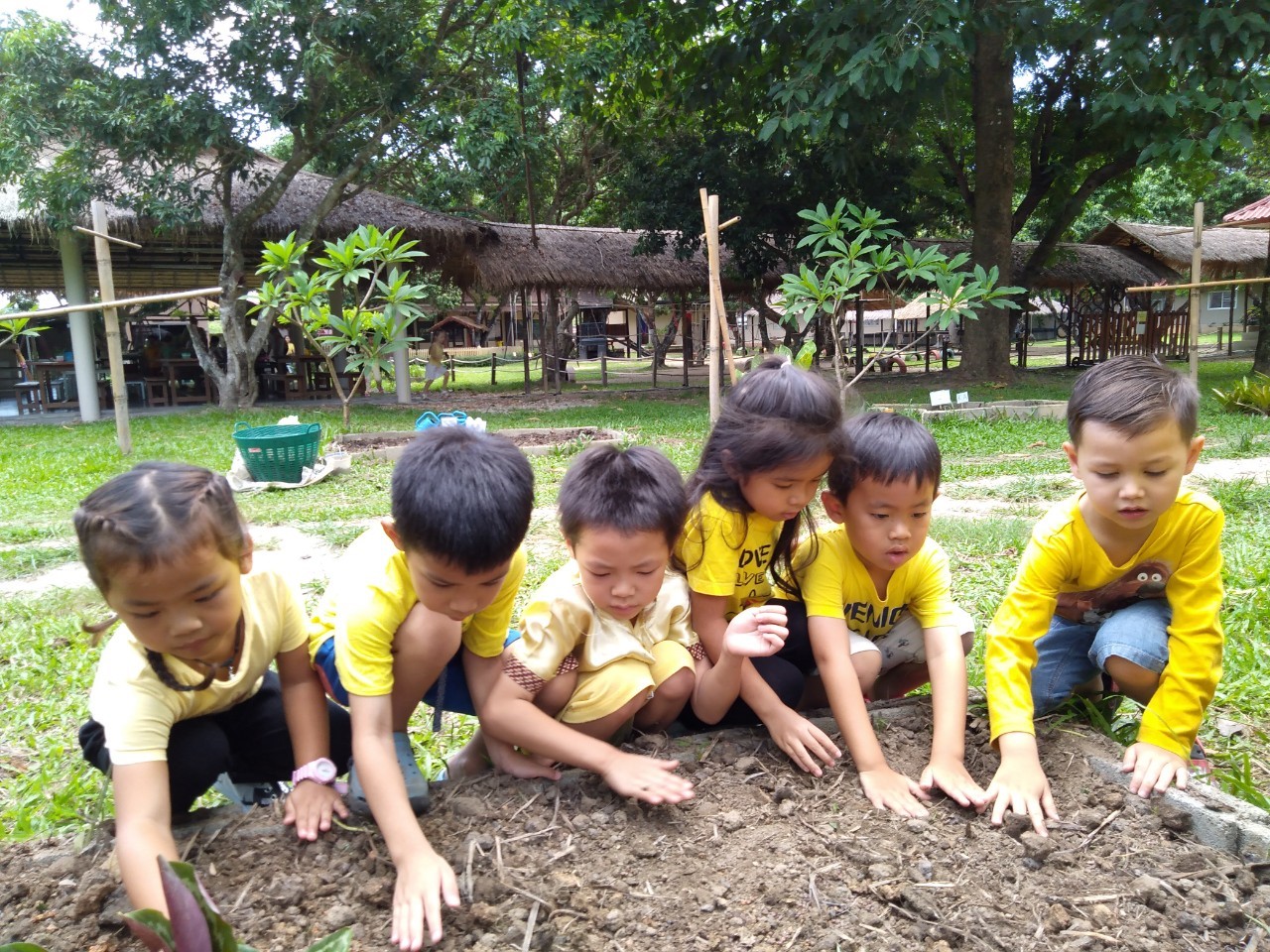 ปลูกป่า_190628_0057.jpg