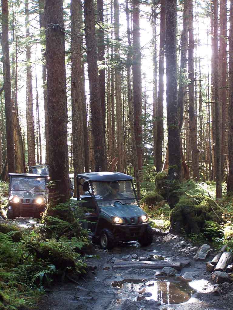 Side By Side Ride in The Tongass National Forest
