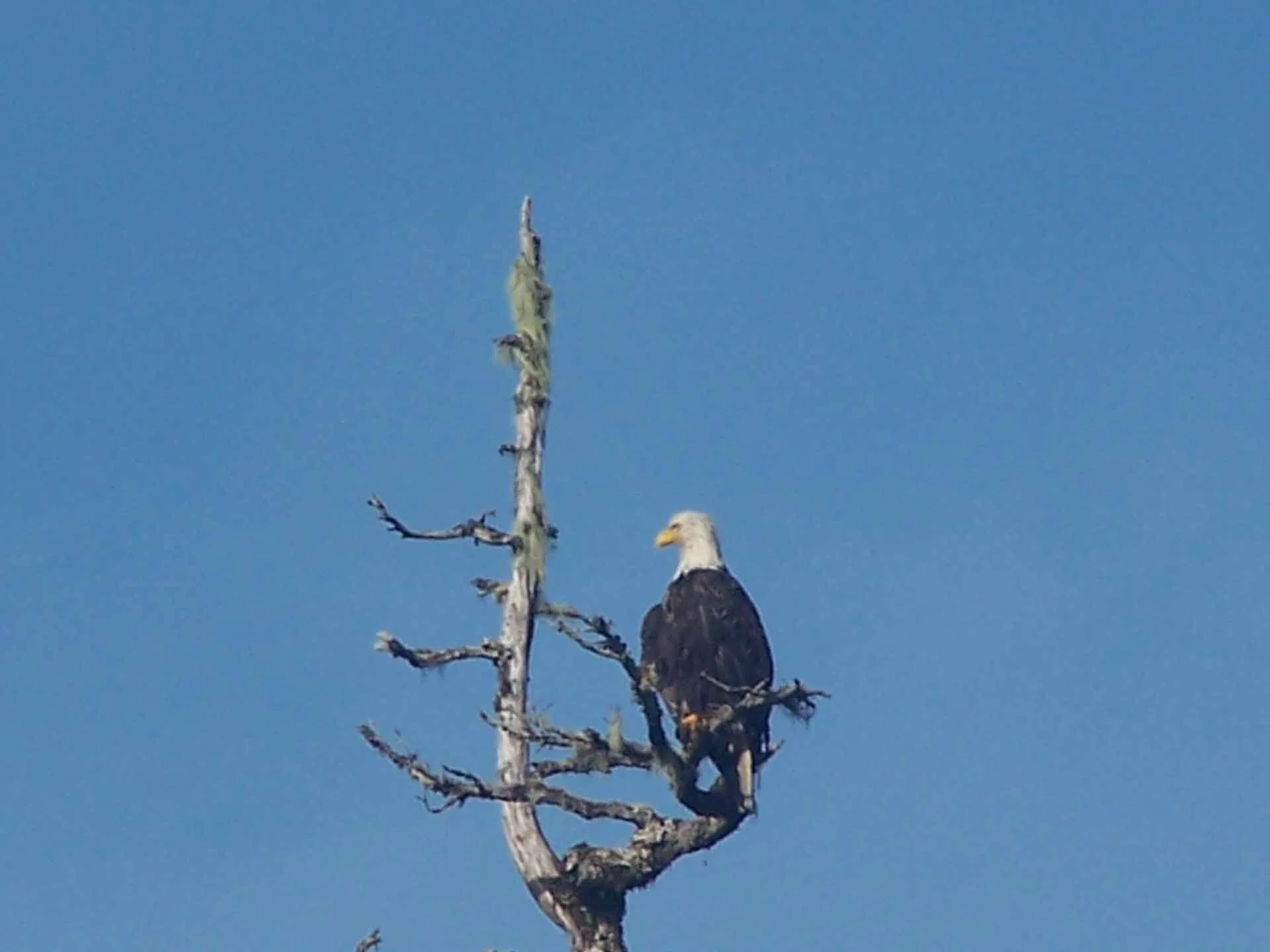GALwldlf (16 of 198).jpg