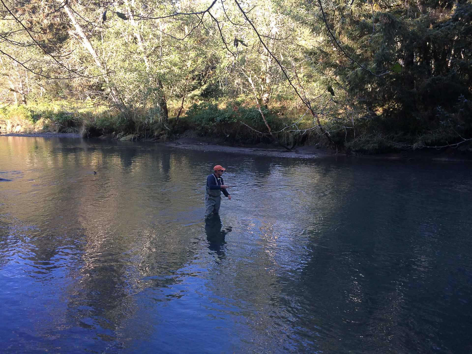 Targeting Salmon in Sitka Alaska