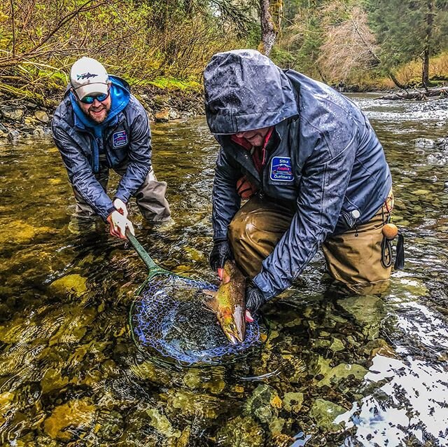 Steelhead dreams become reality.  #steelhead #flyfishing #alaska #sitka