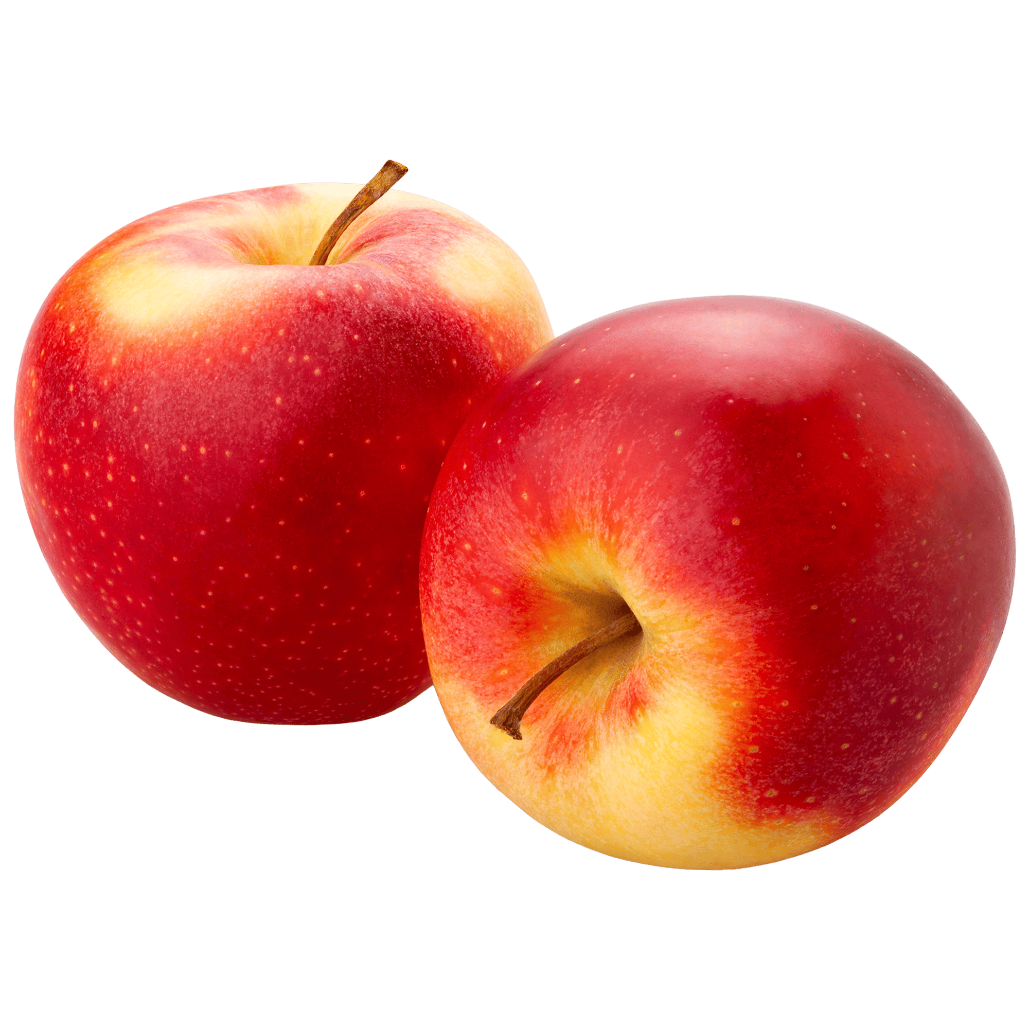 00000000000109 (1).png