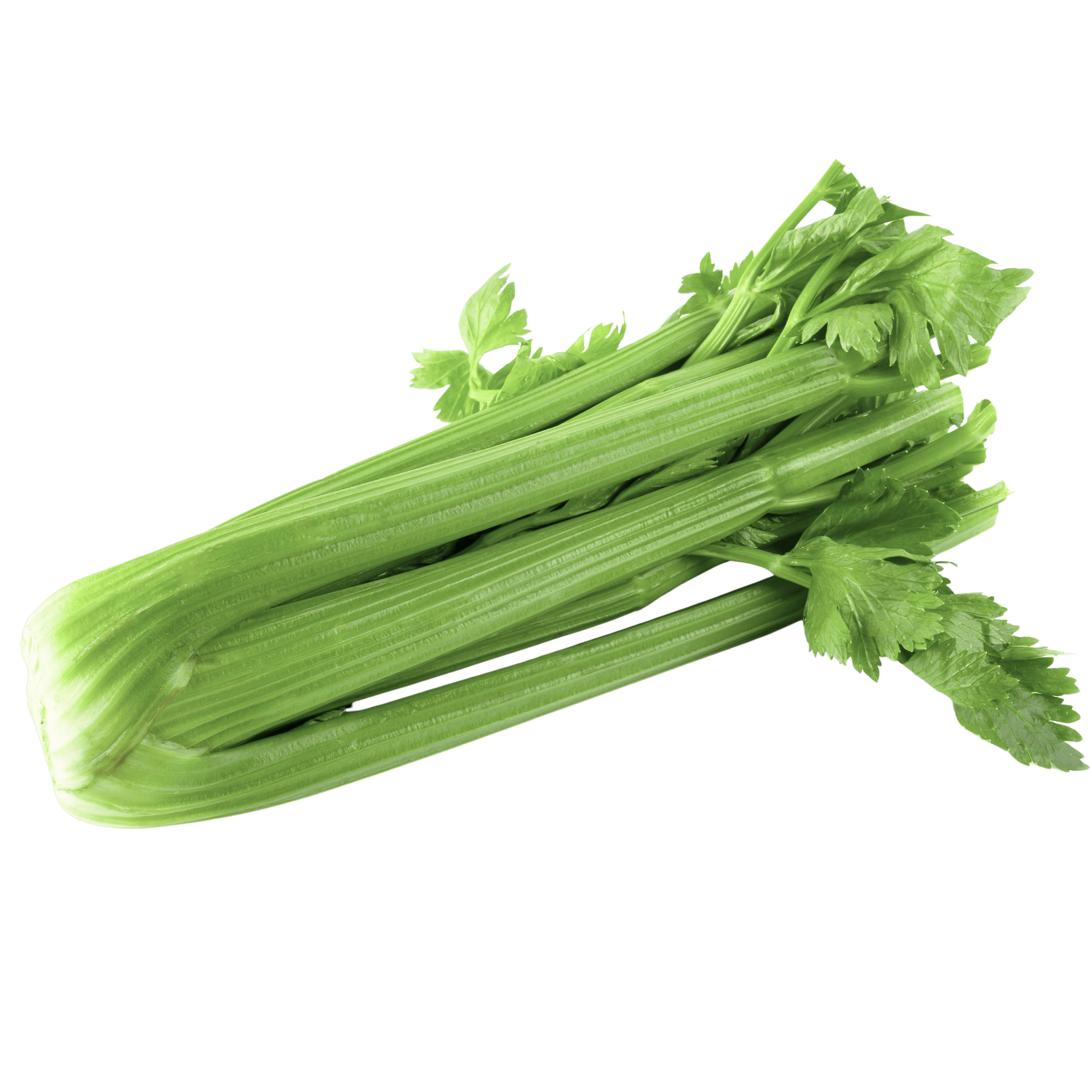 00000000000550.png