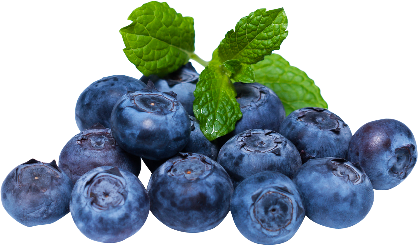 16-161611_blueberries-png-blueberry-png.png