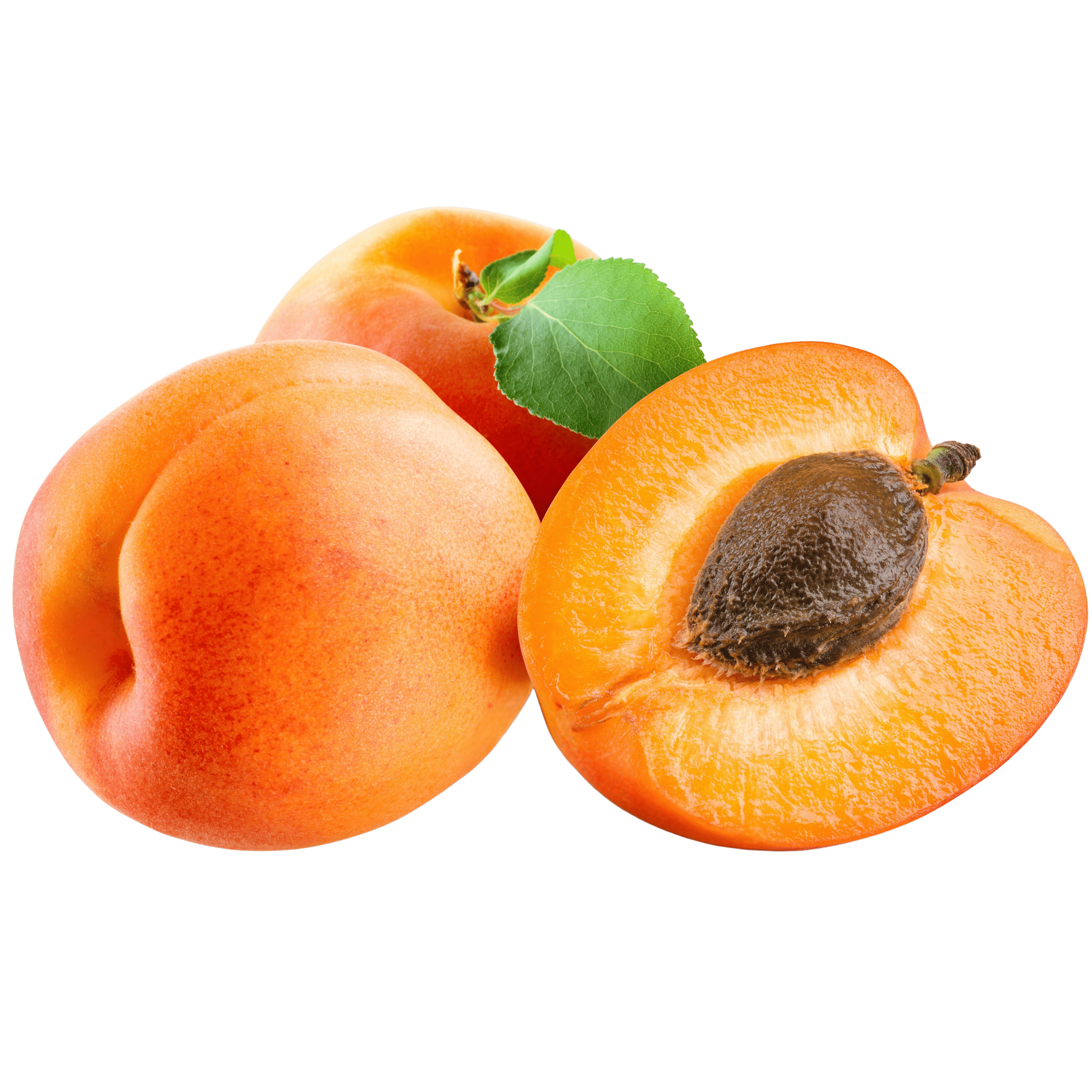 00000000000340 (1).png