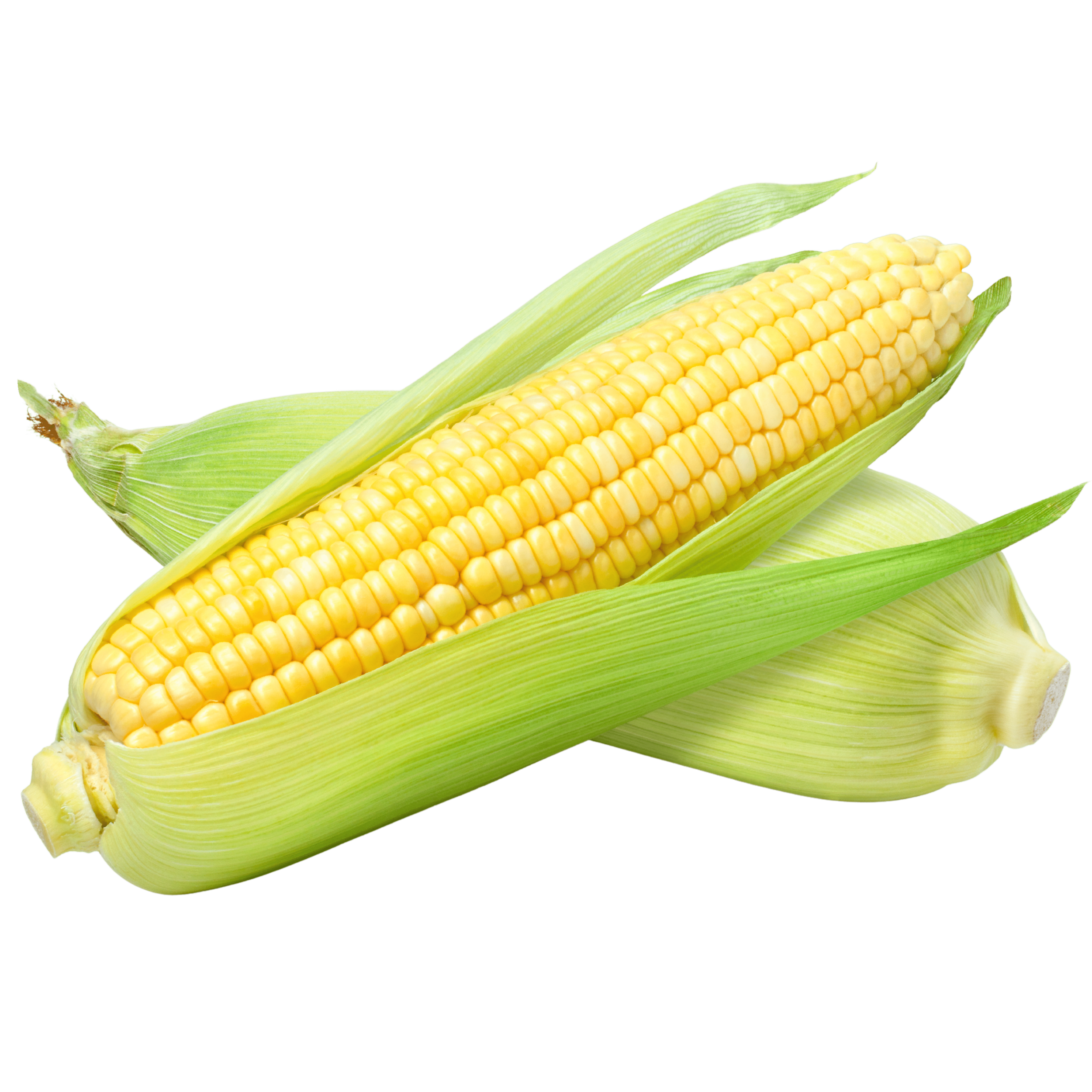 00000000000650 (1).png