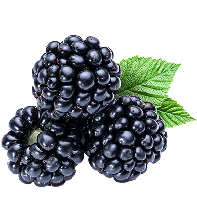 blackberry_PNG19.png