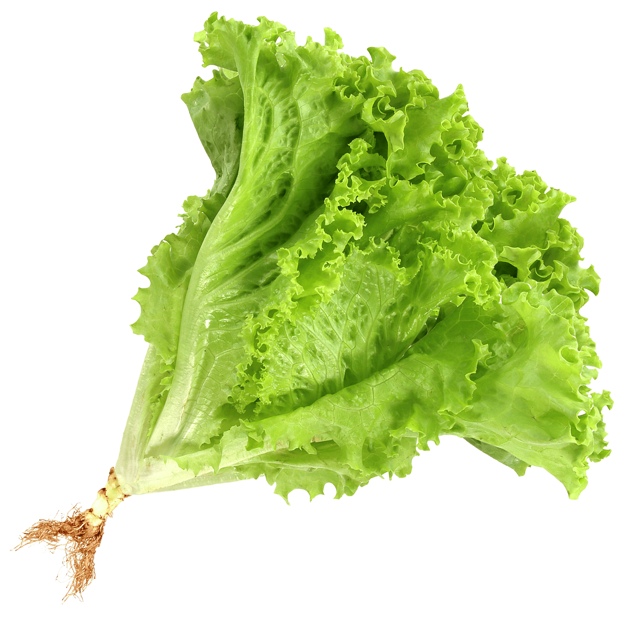 00000000000507.png