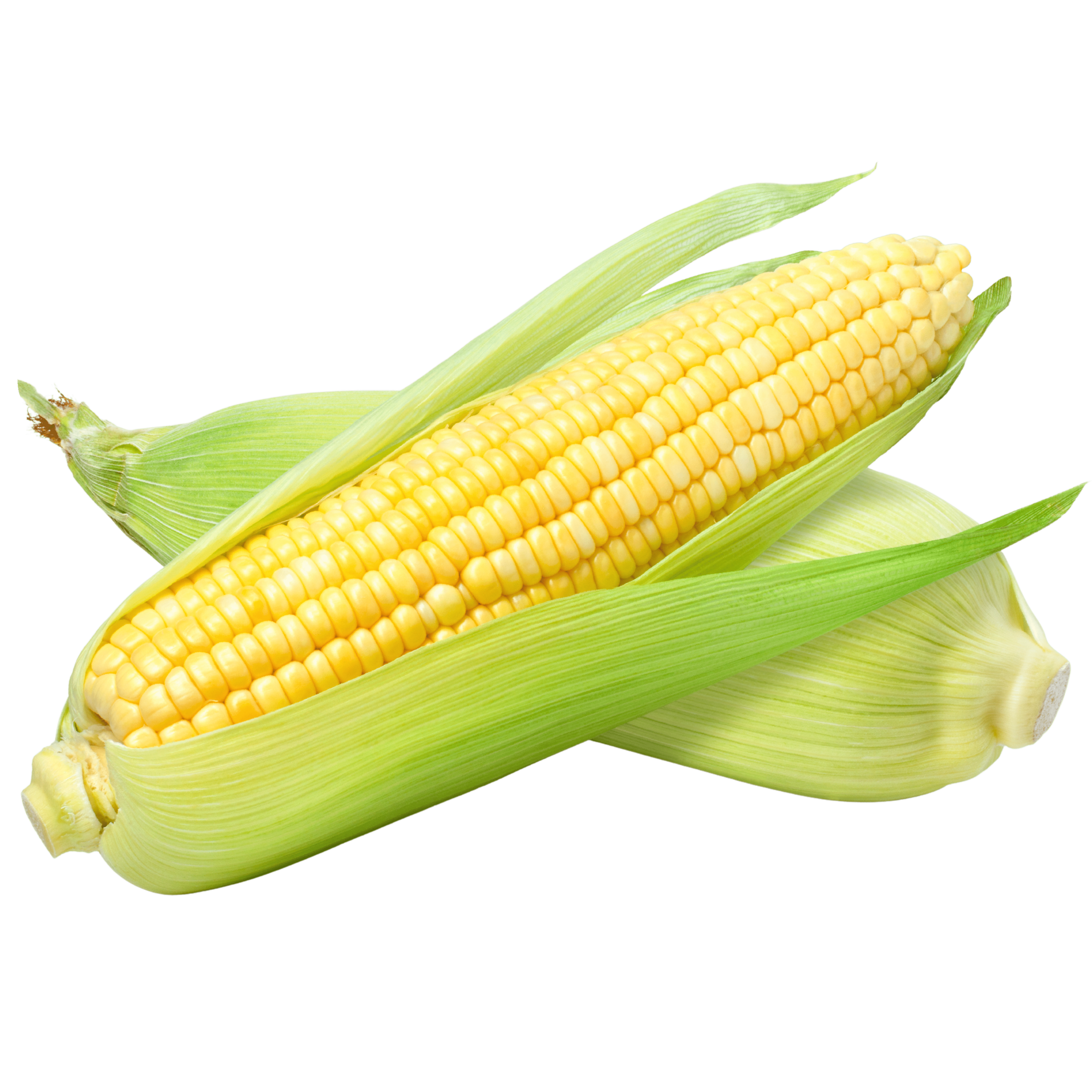 00000000000650 (1).png